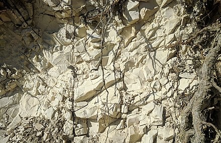 limestone-eocene-deposit-at-sinj-stari-grad-dalmatia-croatia-img-20210820-083857-1742033497.jpg