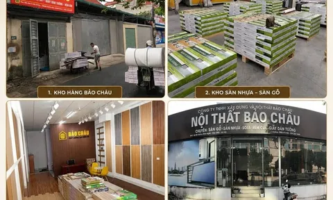 Nội Thất Bảo Châu – Địa Chỉ Sàn Nhựa Được Nhiều Gia Đình Việt Tin Chọn